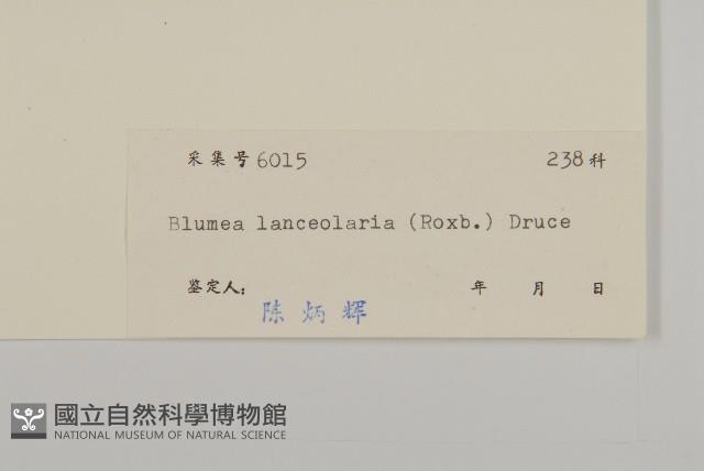 走馬胎藏品圖，第3張