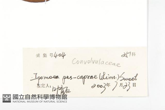 登錄號:S128568藏品圖，第3張