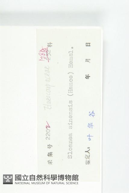 猴歡喜藏品圖，第3張