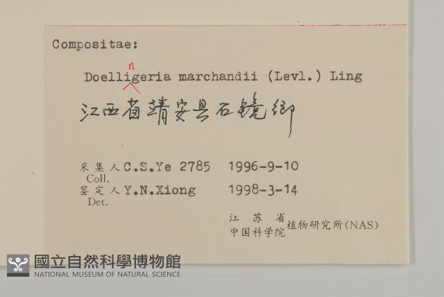 短冠東鳳菜藏品圖，第3張