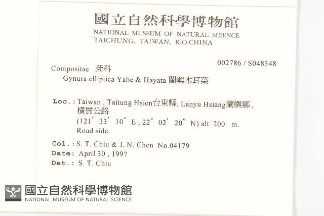 蘭嶼木耳菜藏品圖，第2張