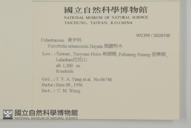 佩羅特木藏品圖，第2張