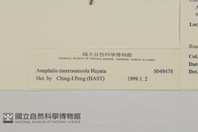 玉山抱莖籟簫藏品圖，第3張