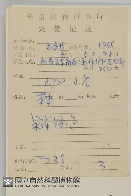 鱧腸藏品圖，第2張