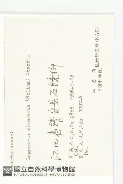 小葫蘆藏品圖，第3張