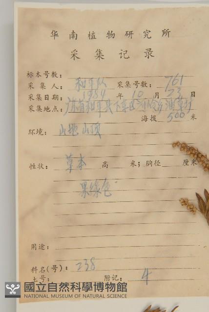 牡蒿藏品圖，第2張