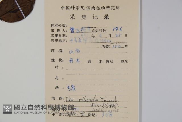 鐵冬青藏品圖，第2張