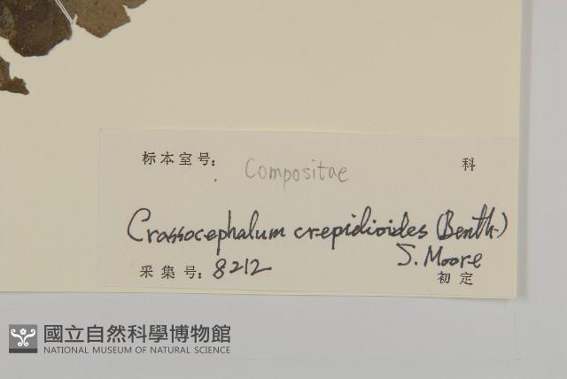 昭和草藏品圖，第3張