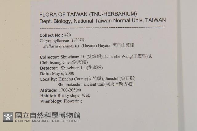 阿里山繁縷藏品圖，第2張