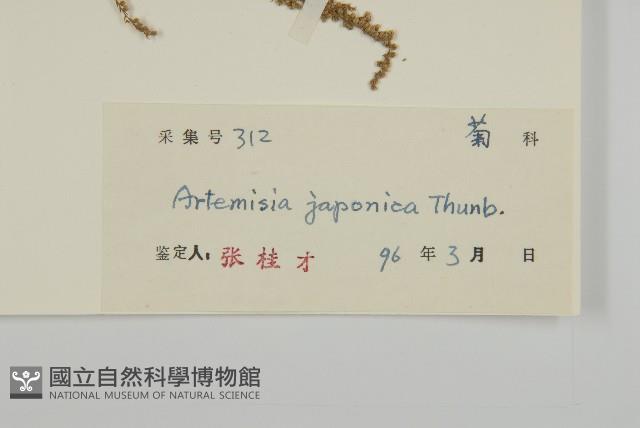 牡蒿藏品圖，第3張