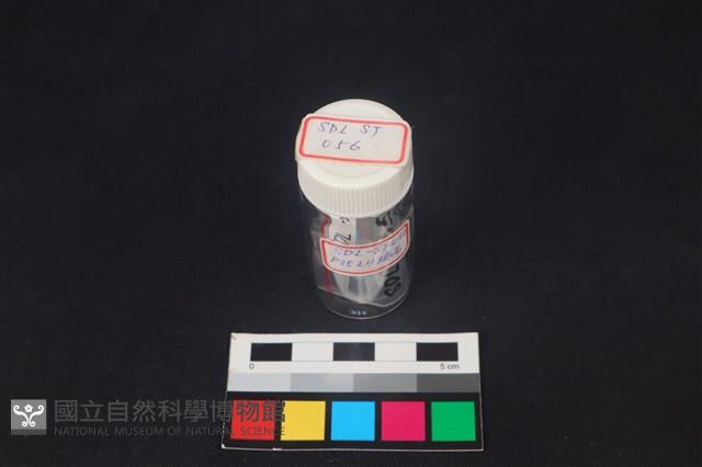 錛鑿形器藏品圖，第3張