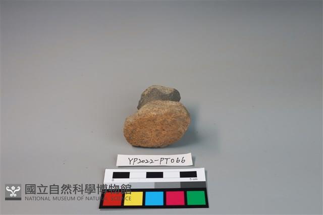 碗/淺盤型陶蓋藏品圖，第3張