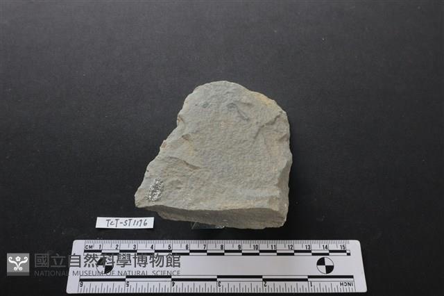 斧鋤形器藏品圖，第3張