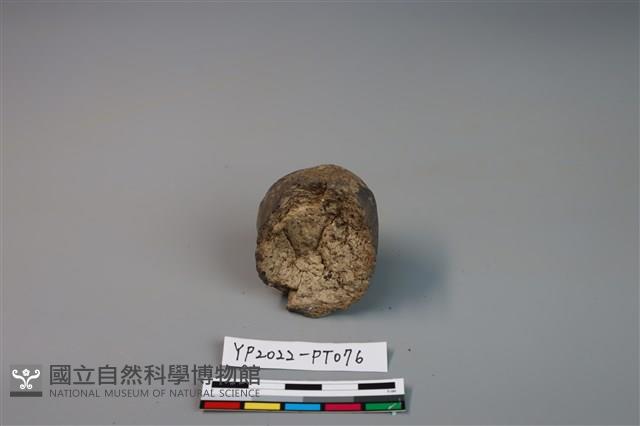 陶鈕藏品圖，第3張