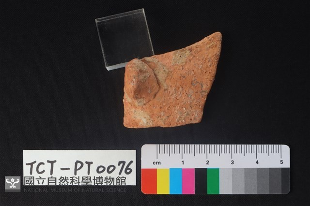 陶鈕藏品圖，第3張