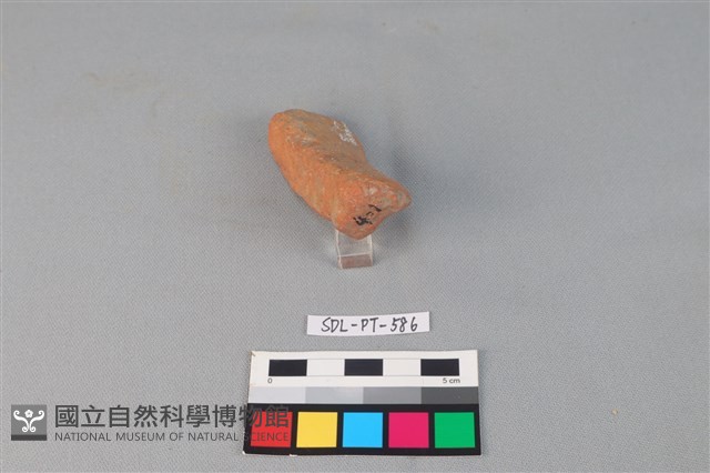 陶網墜藏品圖，第3張