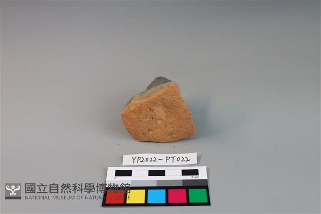 碗/淺盤型陶蓋藏品圖，第3張