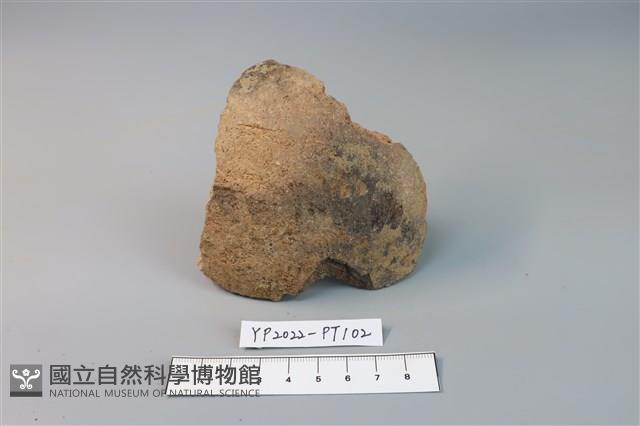 碗/淺盤型陶蓋藏品圖，第3張