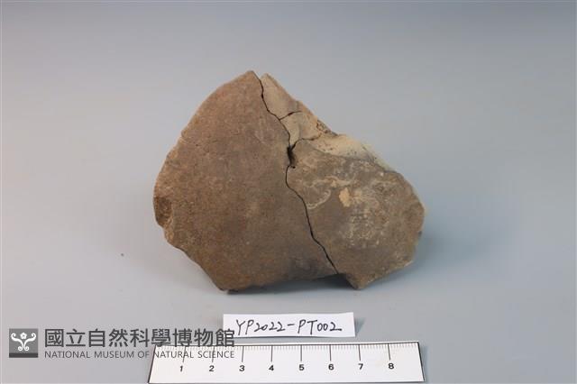碗/淺盤型陶蓋藏品圖，第3張