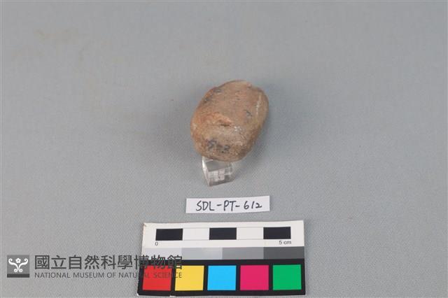 陶網墜藏品圖，第3張