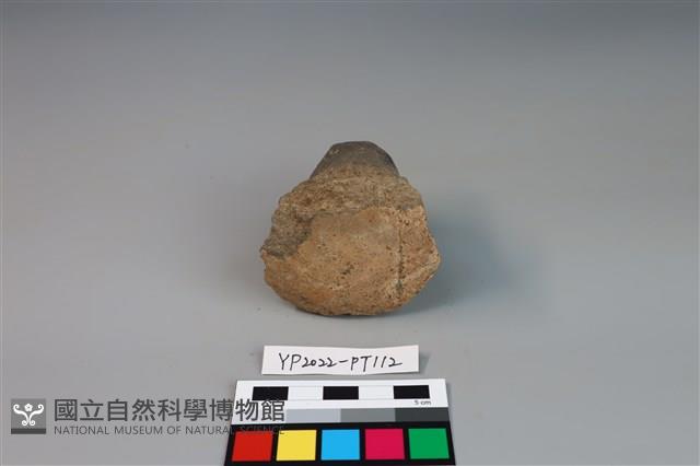 碗/淺盤型陶蓋藏品圖，第3張