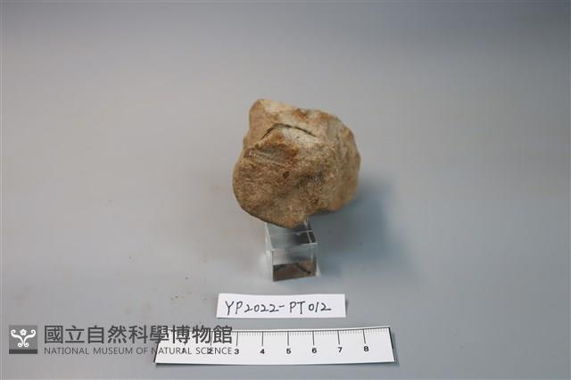 碗/淺盤型陶蓋藏品圖，第3張