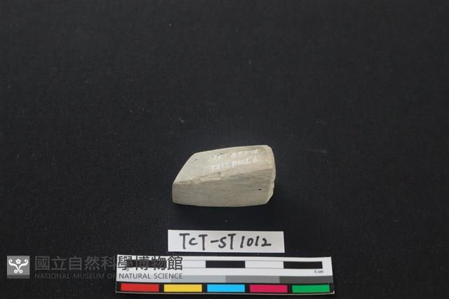 錛鑿形器藏品圖，第3張