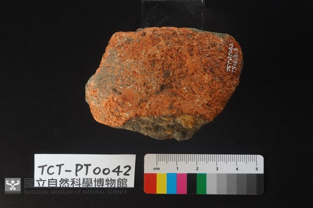 陶蓋鈕藏品圖，第3張