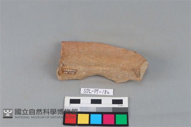 陶罐藏品圖，第3張