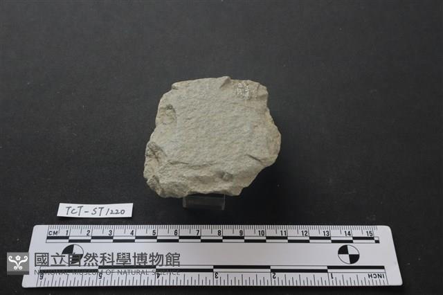 斧鋤形器藏品圖，第3張