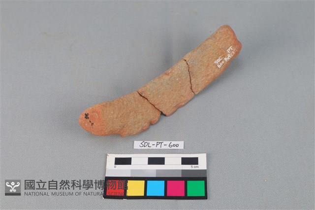 陶網墜藏品圖，第3張