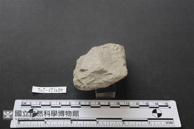 斧鋤形器藏品圖，第3張