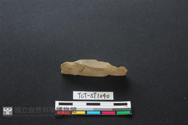 錛鑿形器藏品圖，第3張