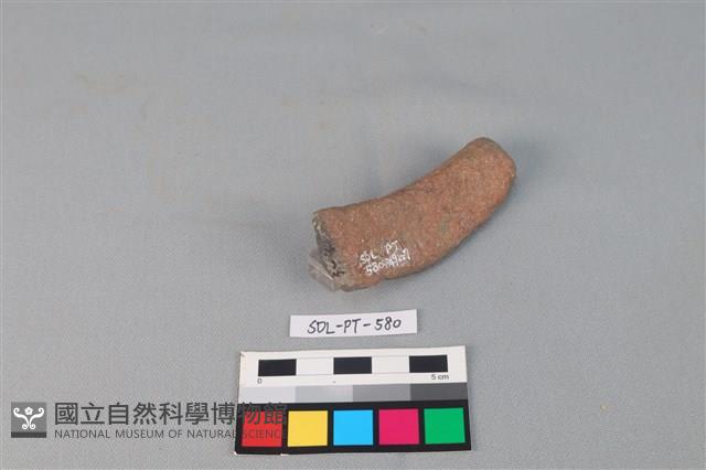 Accession Number:SDL-PT-580 Collection Image, Figure 3, Total 3 Figures