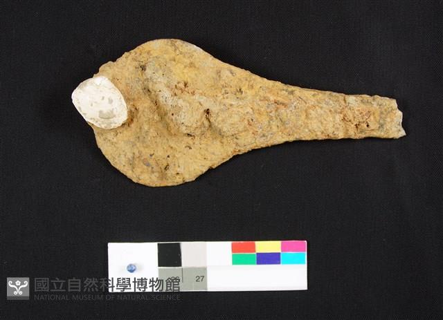 鐵斧藏品圖，第3張