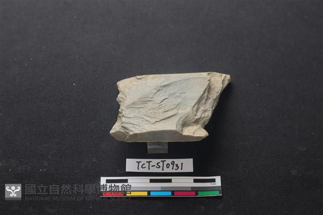 帶加工痕石材藏品圖，第3張