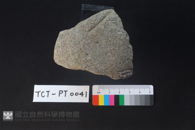 陶蓋鈕藏品圖，第3張