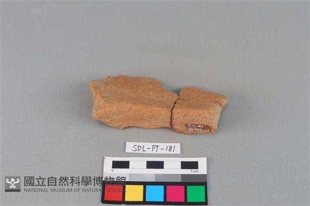 陶罐藏品圖，第3張