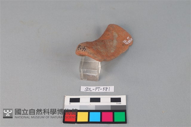 陶網墜藏品圖，第3張