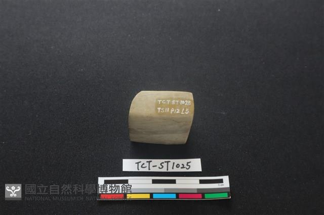 錛鑿形器藏品圖，第3張