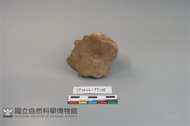 碗/淺盤型陶蓋藏品圖，第3張