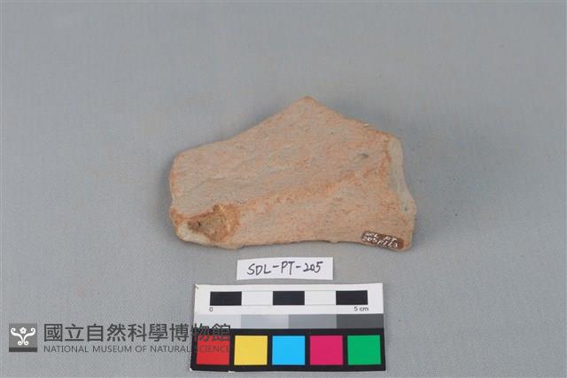 Accession Number:SDL-PT-205 Collection Image, Figure 3, Total 3 Figures