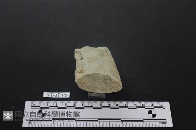磨製斧鋤形器藏品圖，第3張