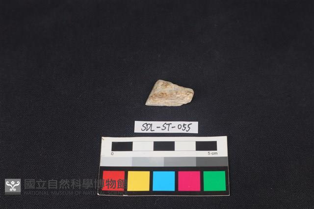 錛鑿形器藏品圖，第3張