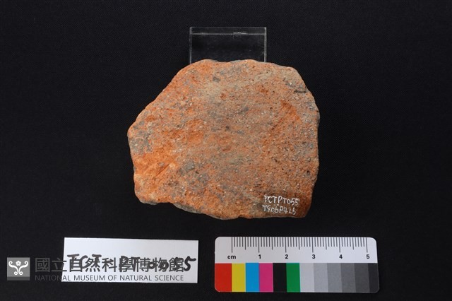 陶蓋鈕藏品圖，第3張