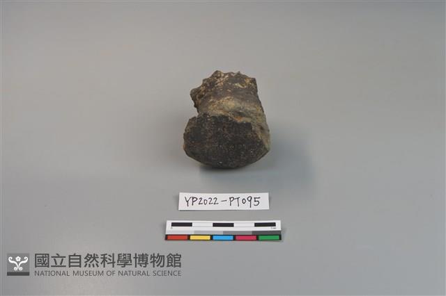 碗/淺盤型陶蓋藏品圖，第3張