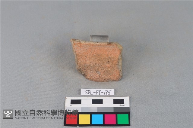 陶罐藏品圖，第3張