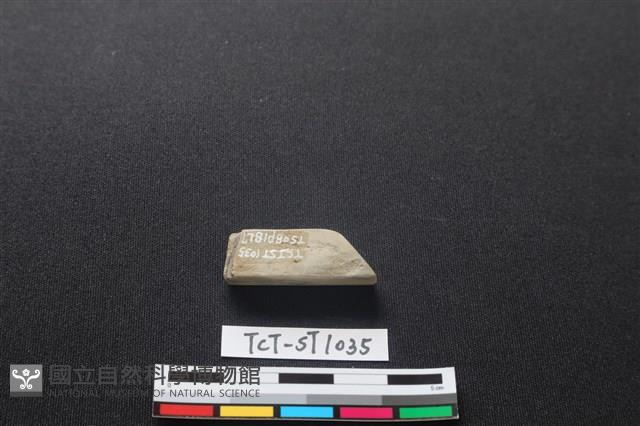 錛鑿形器藏品圖，第3張