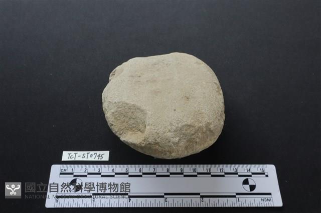 石鎚藏品圖，第3張