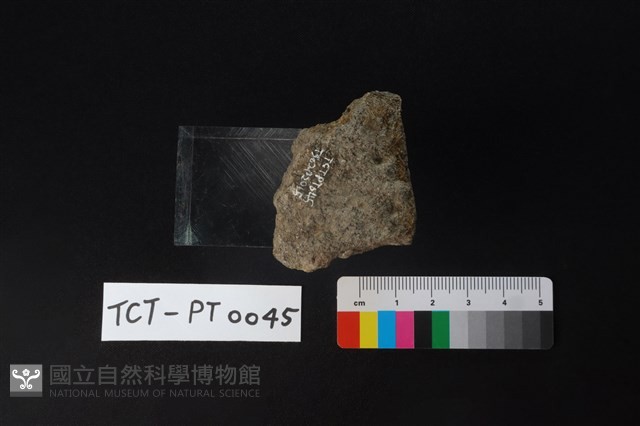 陶蓋鈕藏品圖，第3張